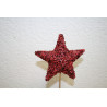 2-0034 Topiary star in round base