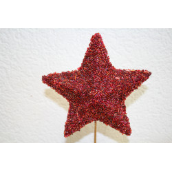 2-0035 Topiary star in round base