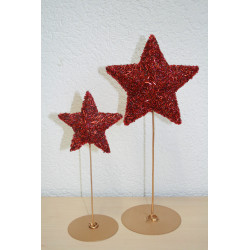 2-0036 Topiary star in round base